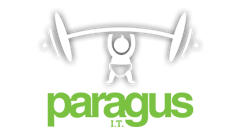Paragus IT logo